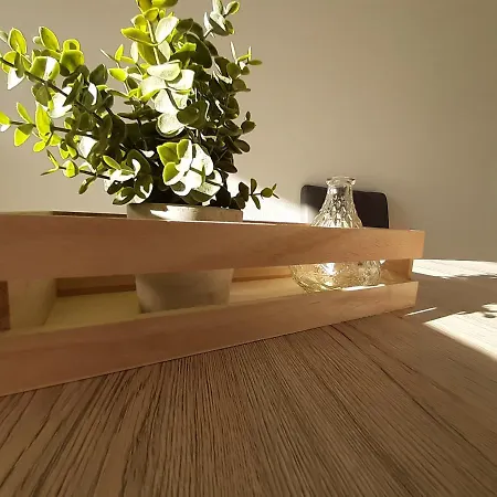 Apartment Wood